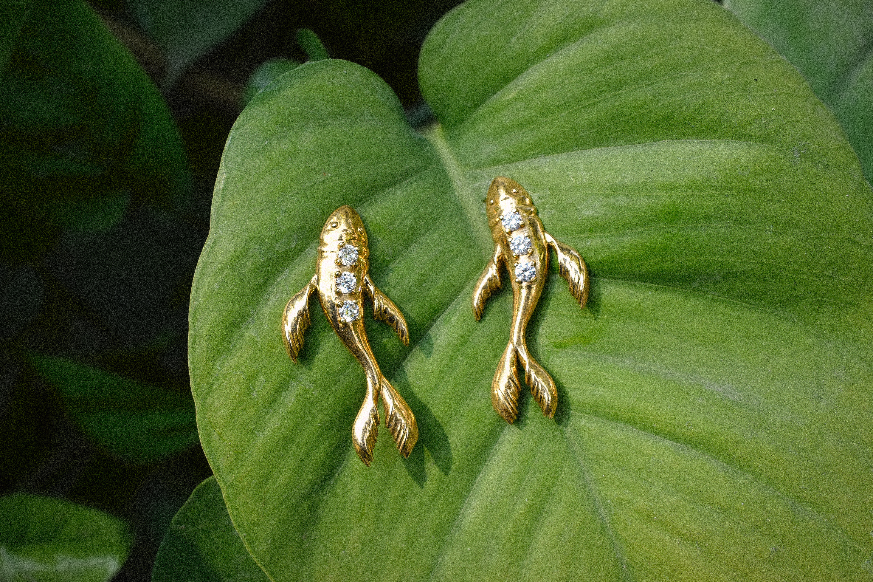 Koi Earrings